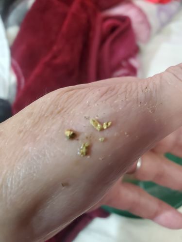 Customer photo review of *BOGO* Pioneer '2 OUNCE NUGGET HUNT' - Gold Panning Paydirt Concentrate
