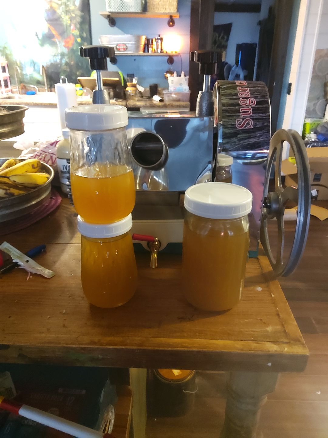 Customer photo review of Sugarcane