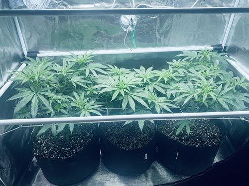 Customer photo review of High CFM Kit 2x4