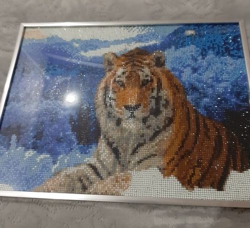 Customer photo review of 5D Diamond Painting Berg Tiger