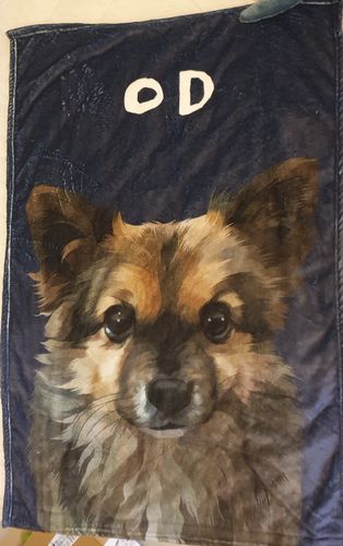 Customer photo review of 【客製】手繪寵物 法蘭絨毛毯 Custom Pet Fleece Blanket