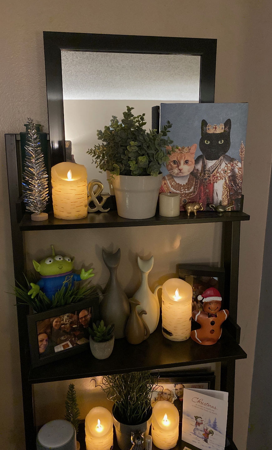 Customer photo review of Royal King and Queen Custom Pet Portrait