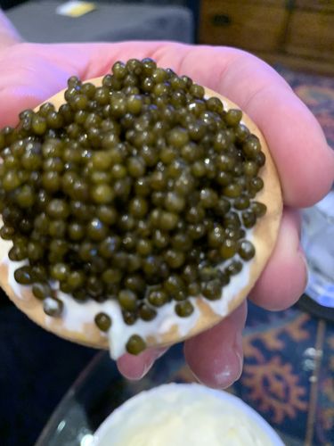 Customer photo review of Golden “HUSO” Kaluga Sturgeon Caviar (River Beluga)