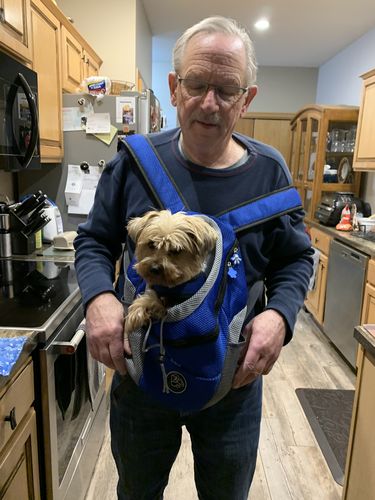 Customer photo review of Petyfy™ Dog Backpack + Lifetime Warranty!