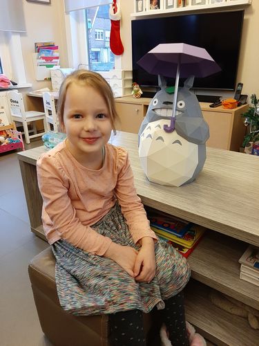 Customer photo review of Totoro