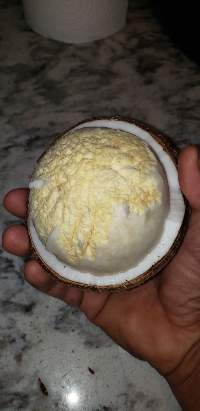Customer photo review of Sprouted Coconut Box