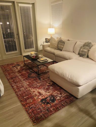 Customer photo review of Distressed Vintage Cezanne Terracotta Area Rug