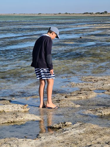Customer photo review of Port Willunga Shorts
