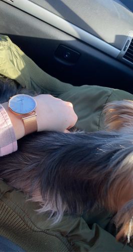 Customer photo review of Shell Dreams Edition Rosé Gold