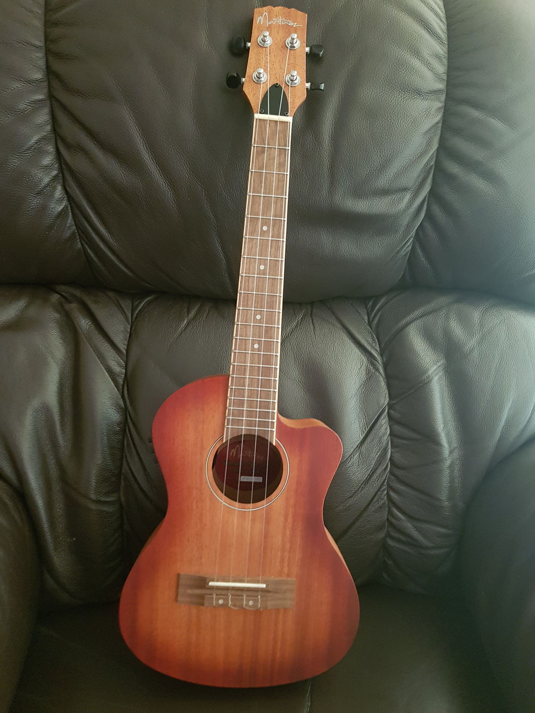 Customer photo review of CT-LG Worth Clear Low G Tenor Ukulele Strings Fluorocarbon 2 Restrings per Packet