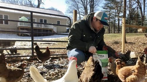 Customer photo review of GrubTerra Dried Larvae