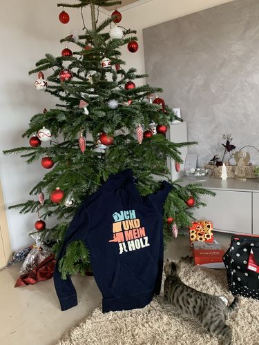 Customer photo review of ICH UND MEIN HOLZ RETRO - BIO  - Unisex Hoodie (BASIC)