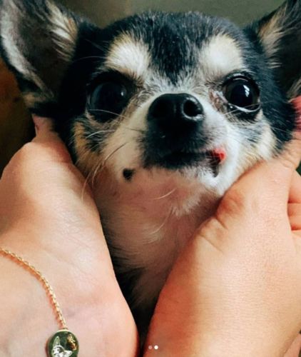 Customer photo review of Gold Dipped Lineart Love Armkette