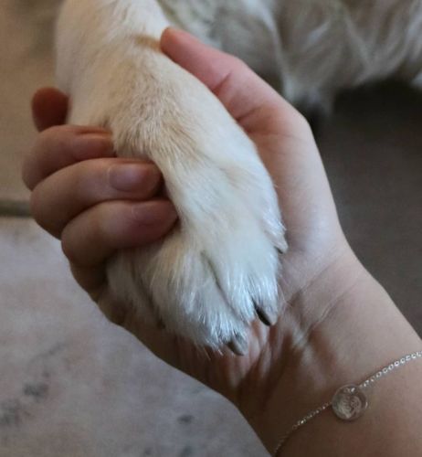 Customer photo review of Silber Lineart Love Armkette