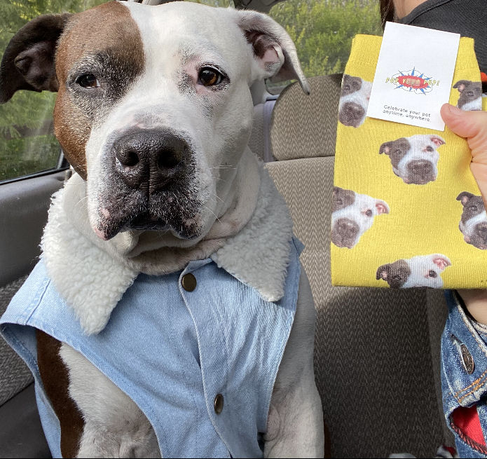 Customer photo review of Original Pet Pop Art Socks