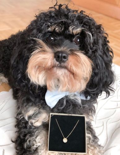 Customer photo review of Gold Dipped Lineart Love Halskette