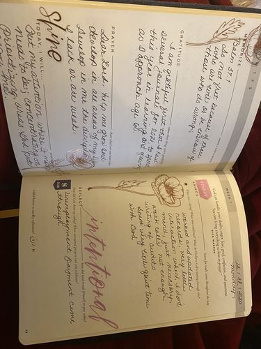 Customer photo review of 2020 Holiday Collection