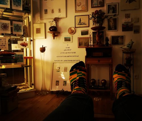 Customer photo review of Comot