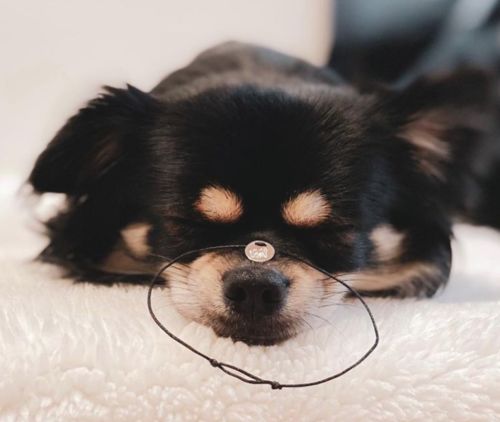 Customer photo review of Lineart Freundschaftsarmband