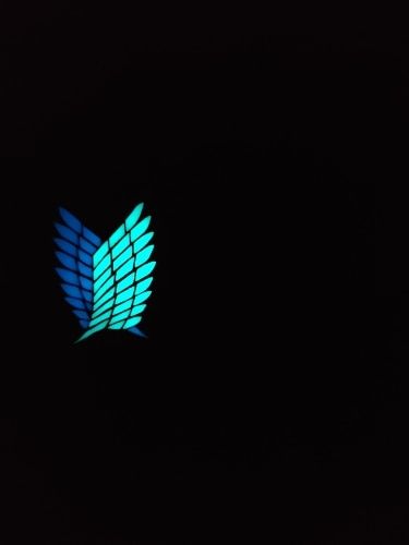 Customer photo review of Harajuku Style Glowing Wings Necklace