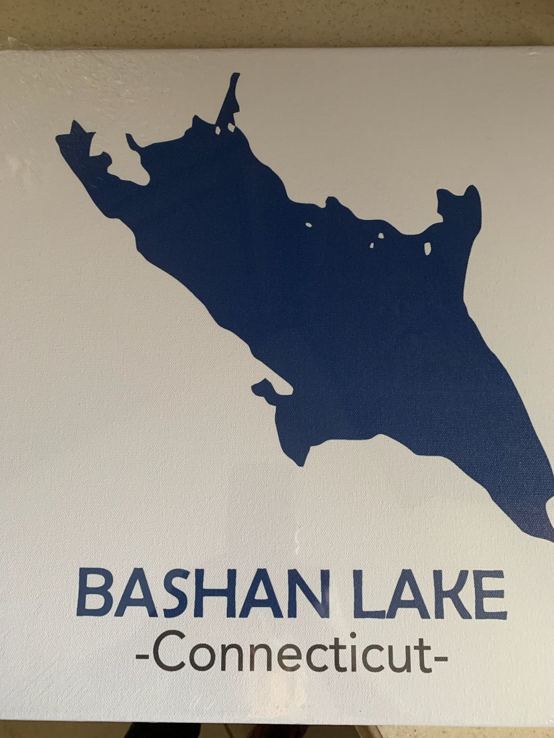 Customer photo review of Custom Lake Square Canvas