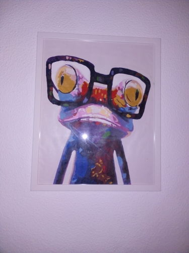 Customer photo review of Orangután