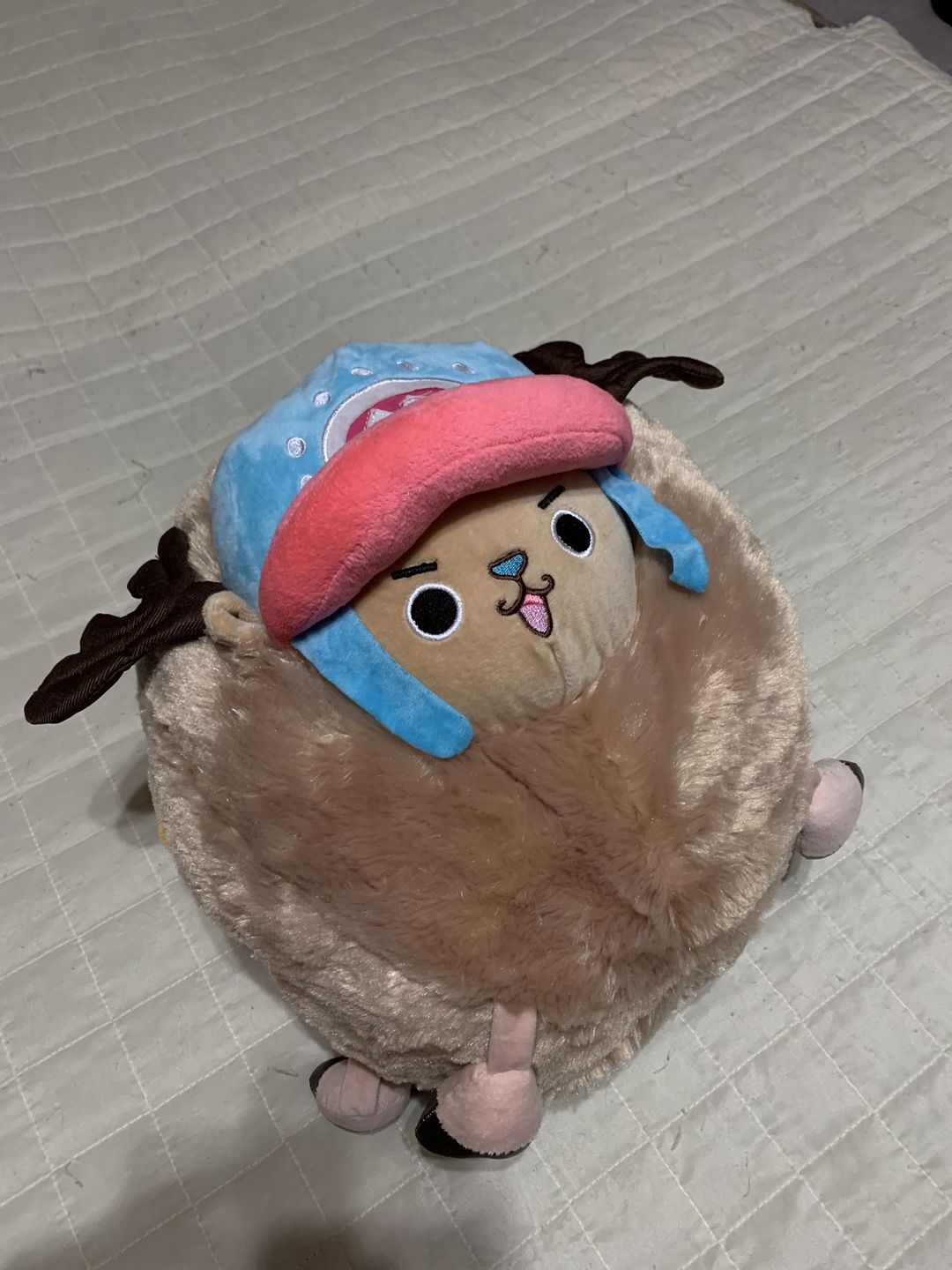 Customer photo review of Chopper Guard Point - Plush Doll