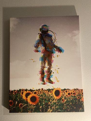 Customer photo review of The Plane Traveler Canvas Set