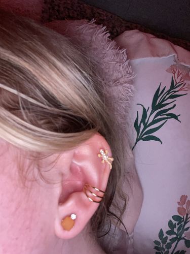 Customer photo review of Triple Bar Hinged Segment Ring