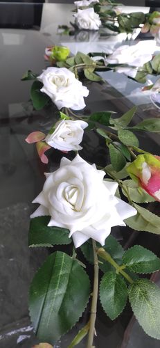 Customer photo review of Rose Flower vine