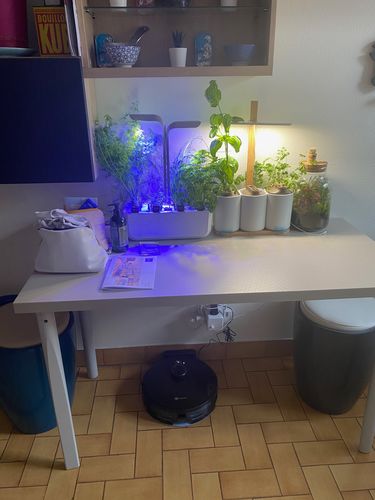 Customer photo review of NEATSVOR X600 Robot Aspirateur Laveur Laser Navigation Connecté Alexa Google 2020