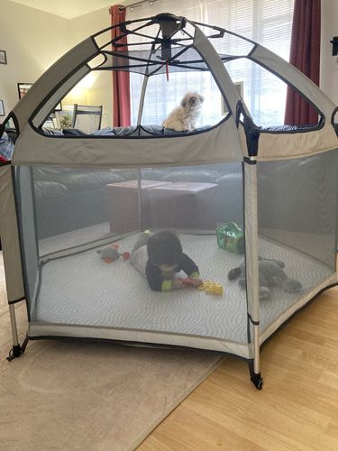 Customer photo review of Pop N' Go® Playpen
