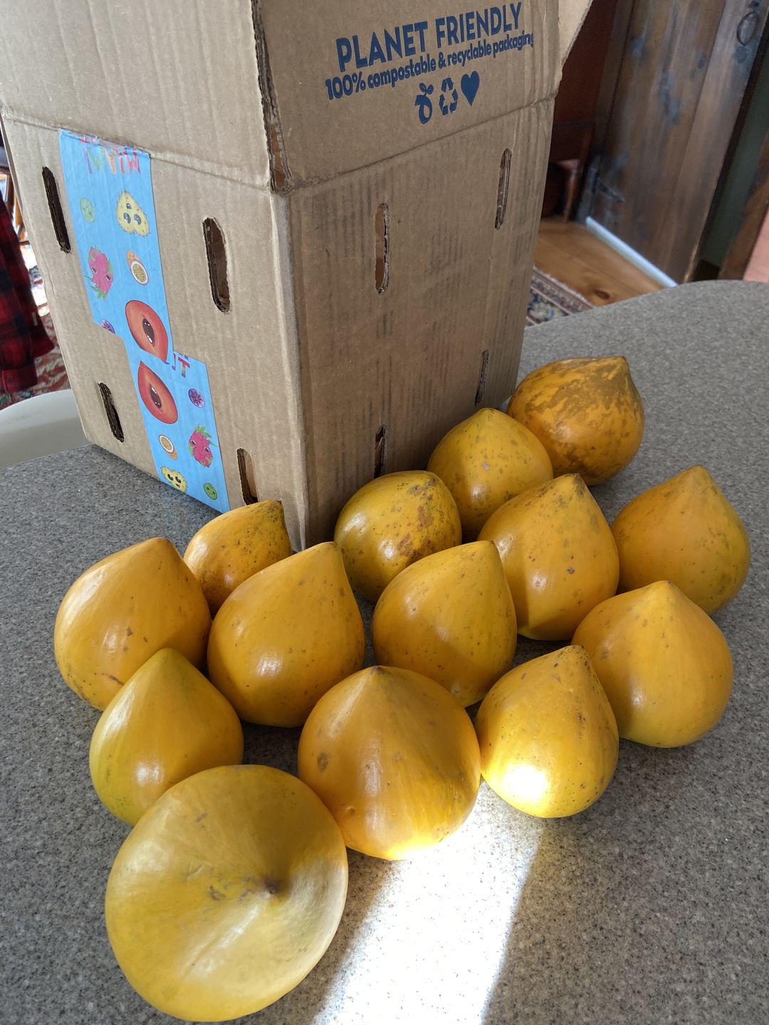 Customer photo review of Eggfruit (Canistel) Box