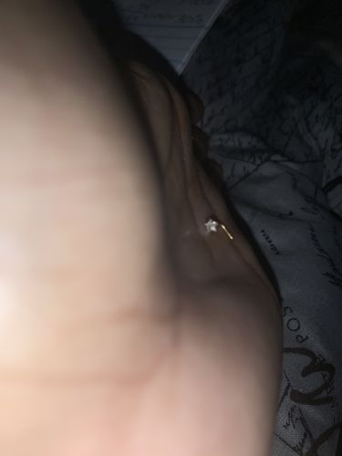 Customer photo review of Star Gem Surgical Steel L-Bend Nose Ring