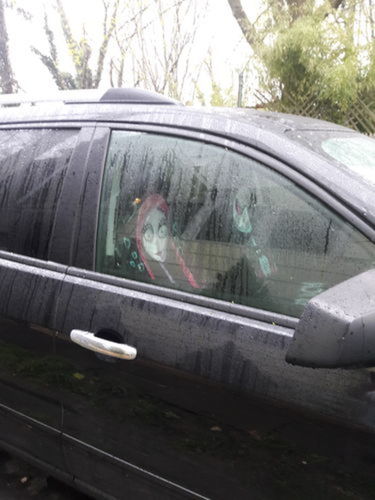 Customer photo review of Her Jack and His Sally Car Seat Covers The Best Valentine's Day Gifts