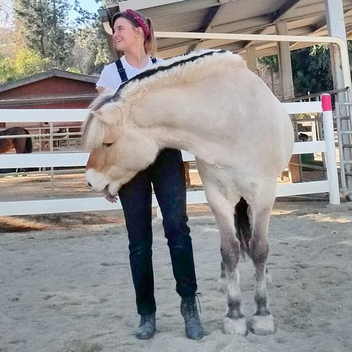 Customer photo review of Sector Overalls