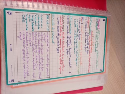 Avis photo d'un client sur Fiches de révision REVISION 2.0 OXFORD # 50 fiches 12,5 x 20 cm - petits carreaux