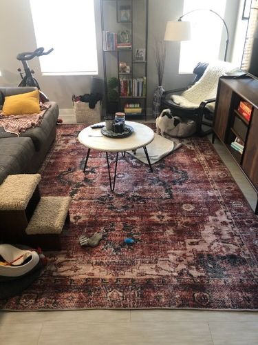 Customer photo review of Distressed Vintage Cezanne Terracotta Area Rug