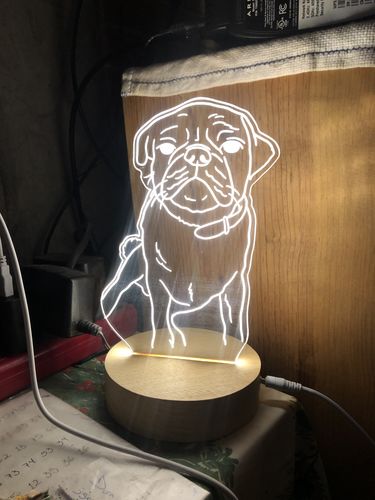 Customer photo review of Tu mascota