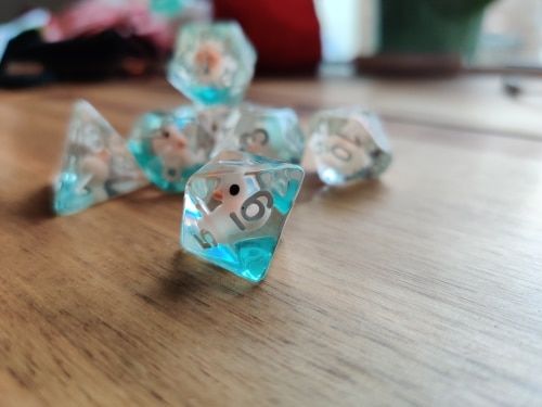 Customer photo review of Transparent Ducky - Dice Set