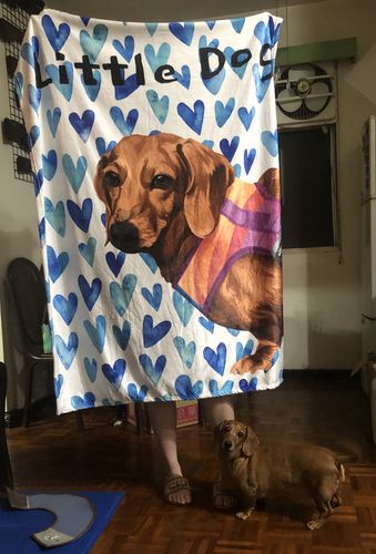 Customer photo review of 【客製】手繪寵物 法蘭絨毛毯 Custom Pet Fleece Blanket