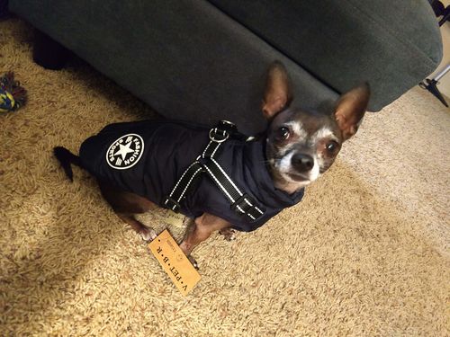 Customer photo review of Petyfy ™ Waterproof Jacket (Lifetime Warranty)