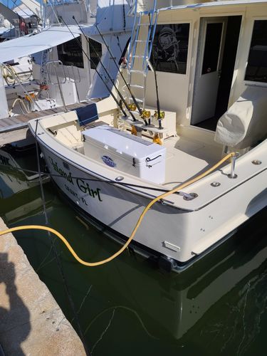Customer photo review of ICEY-TEK Classic 270 Quart Roto-Molded Long Box Coolers