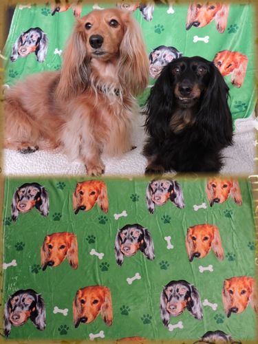 Customer photo review of Couverture Personnalisée Chien