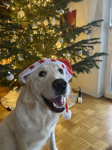 Customer photo review of Gold Dipped Lineart Love Halskette