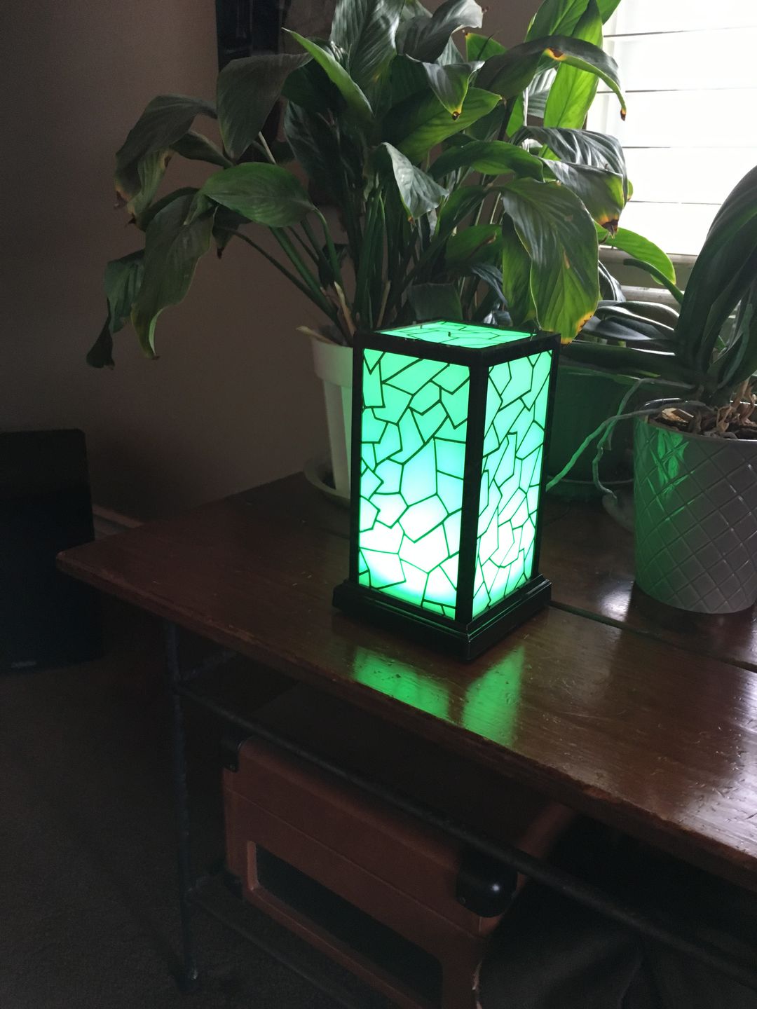 Customer photo review of Classic Design Friendship Lamps