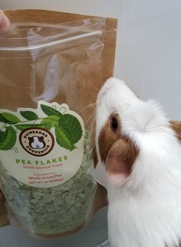 Customer photo review of GuineaDad Nourish Series - Pea Flakes