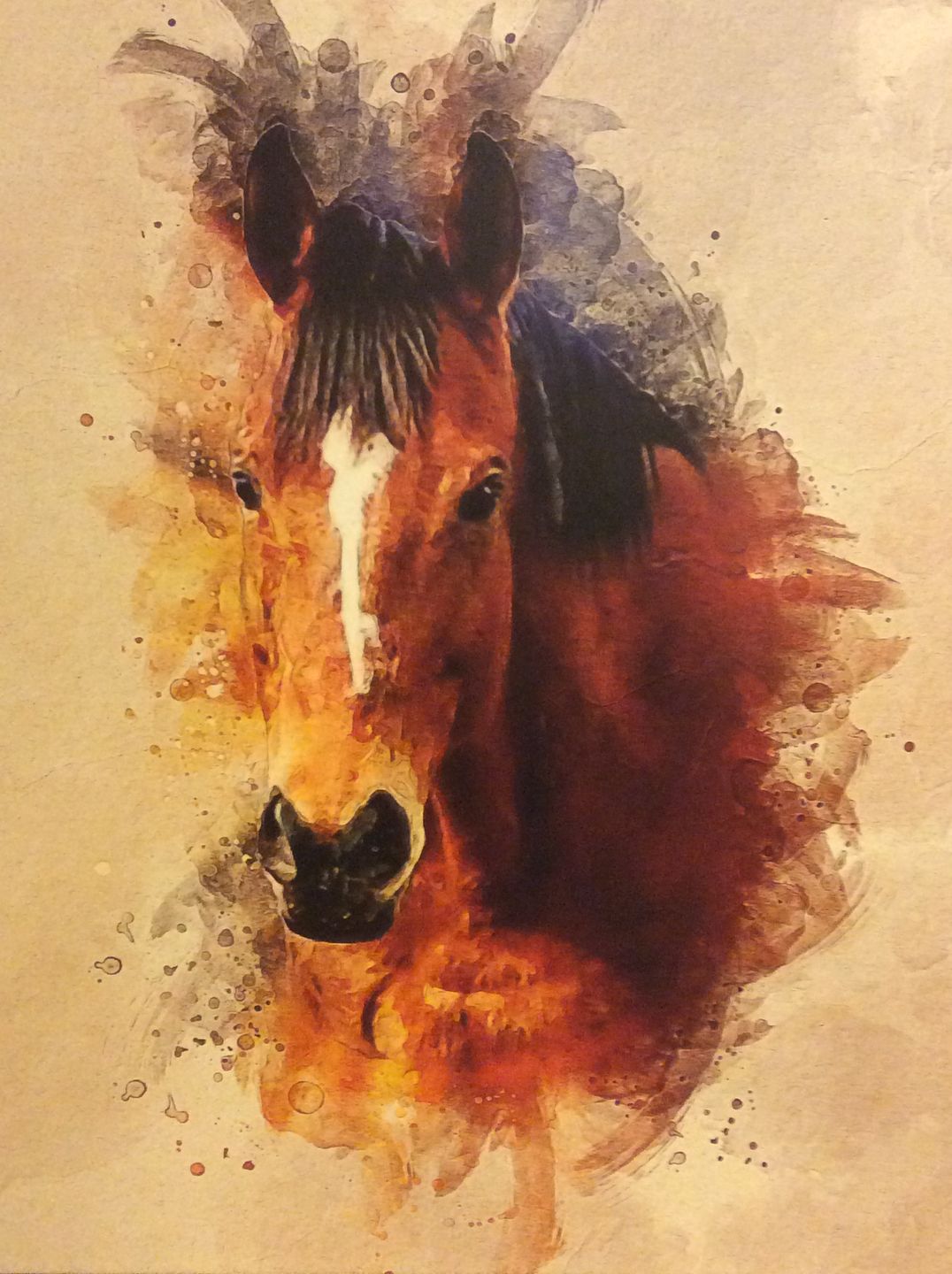 Customer photo review of Personalized Horse portrait