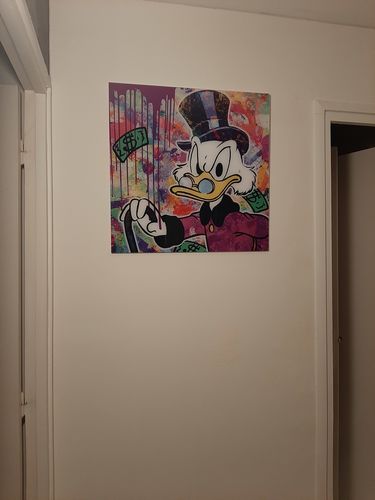 Customer photo review of Tableau Picsou Money
