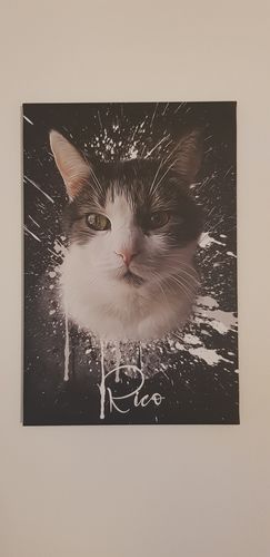 Customer photo review of Graffiti